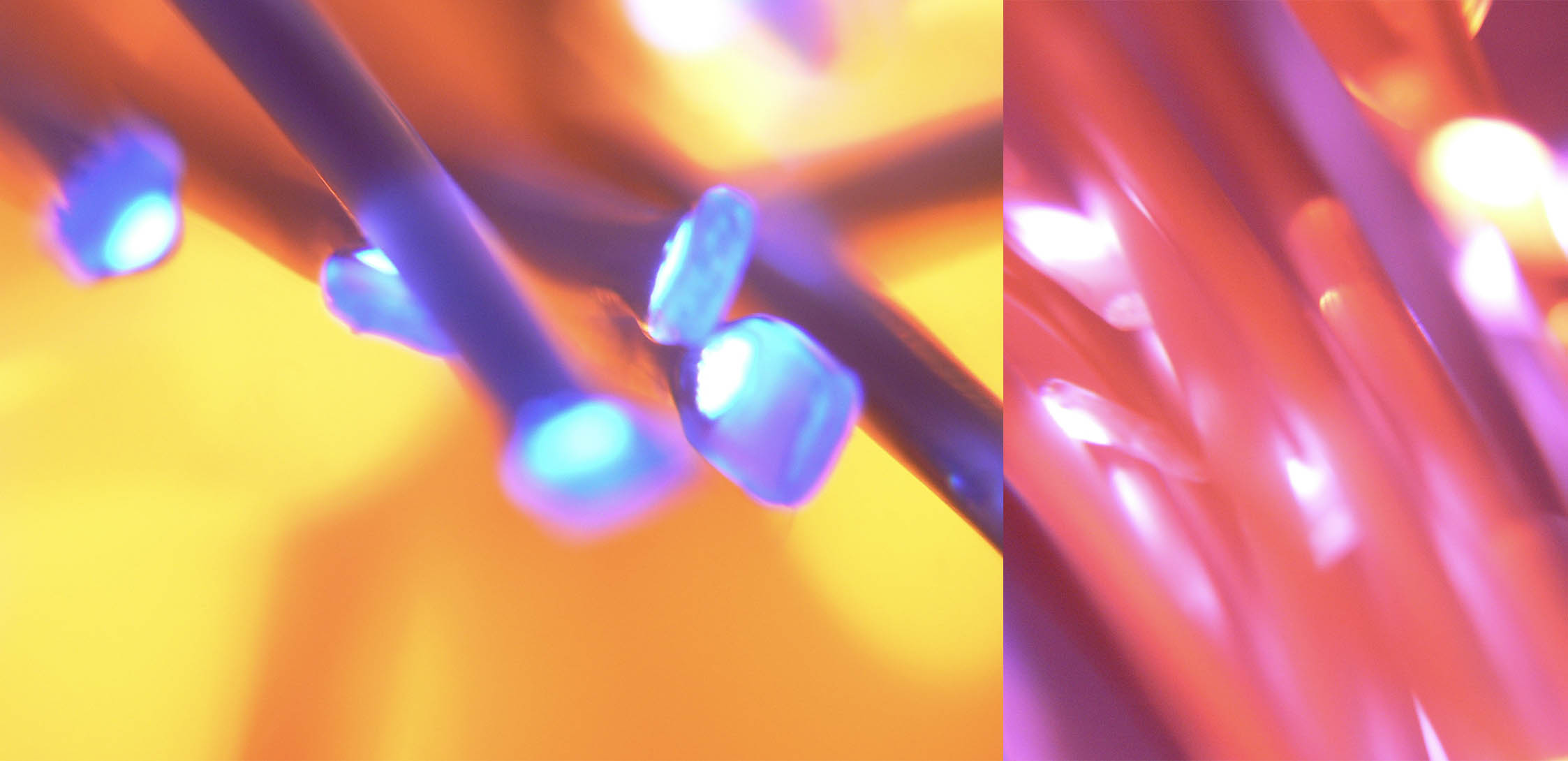multisensorial-kaudexcare-3